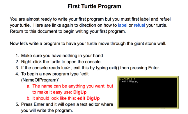 Turtle_Program_-_Google_Docs